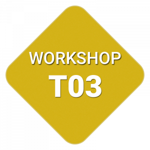 Workshop T03