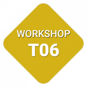 t06_workshop